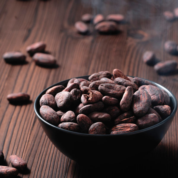 Geröstete Kakaobohnen in einer Schale | Bean to Bar Schokoladenmanufaktur Chani Schoggi aus Ebikon