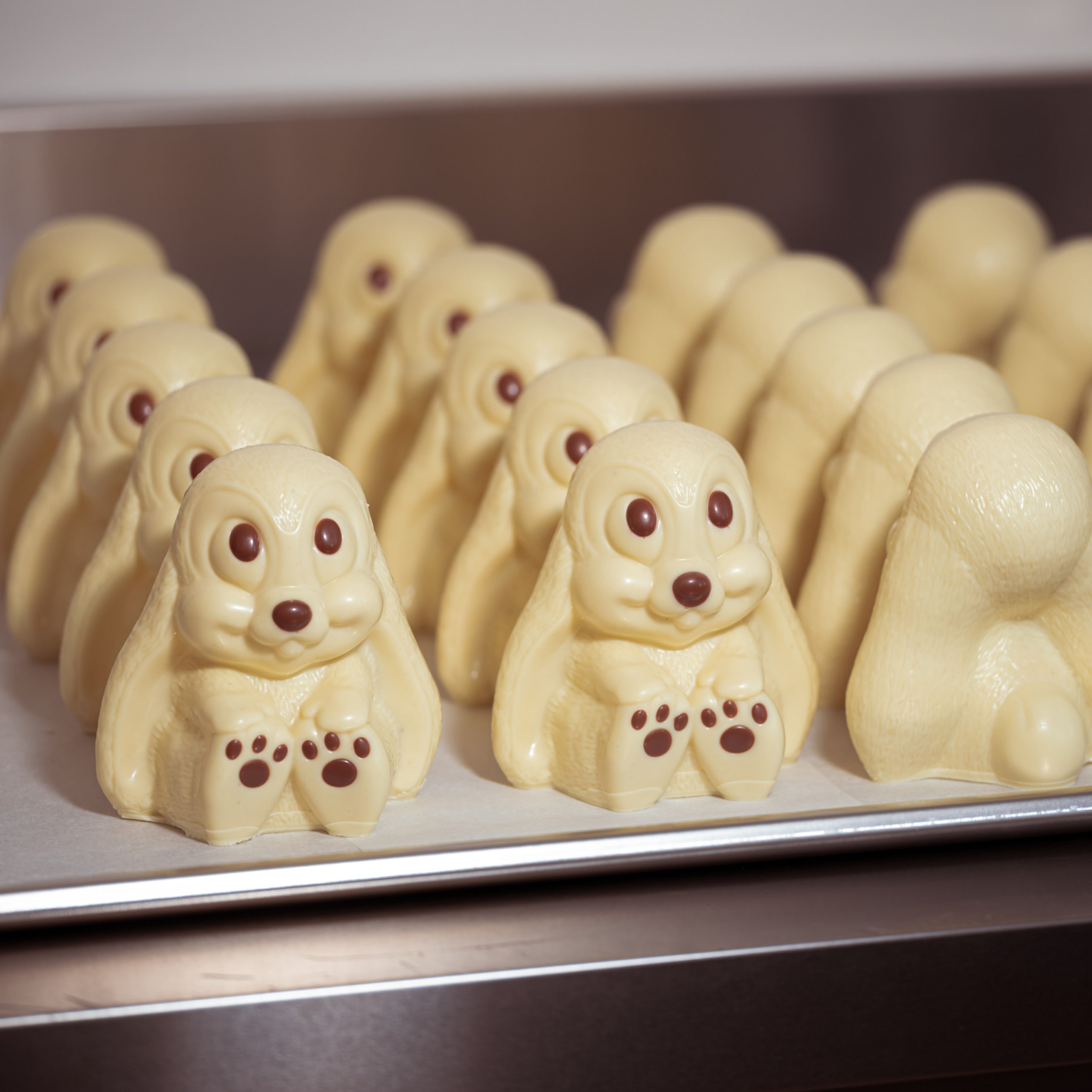 Weisse, handgemachte Osterhasen "Mamma Mia" in der Bean to Bar Schokoladenmanufaktur Chani Schoggi aus Luzern