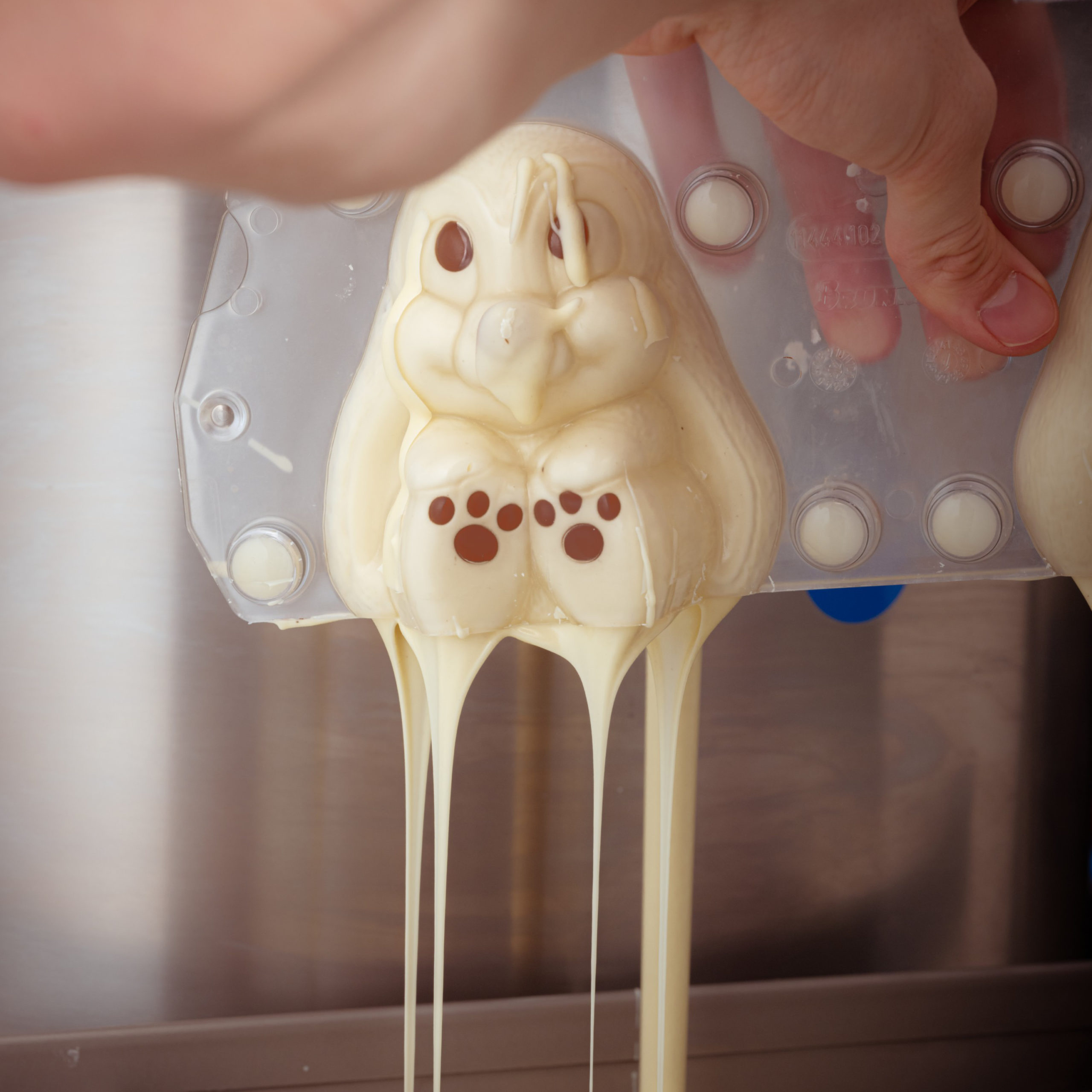 Weisse, handgemachte Osterhasen "Mamma Mia" in der Bean to Bar Schokoladenmanufaktur Chani Schoggi aus Luzern